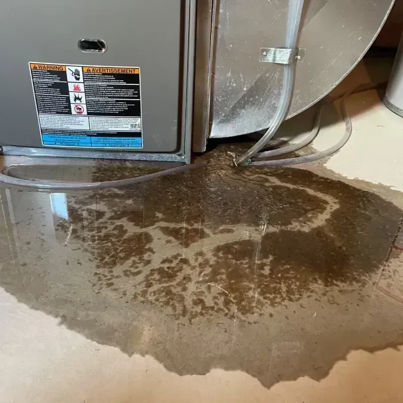 Appliance Leak Cleanup in Knott County, KY